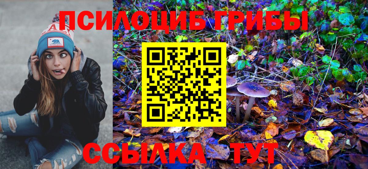 Псилоцибиновые грибы мухоморы Нурлат